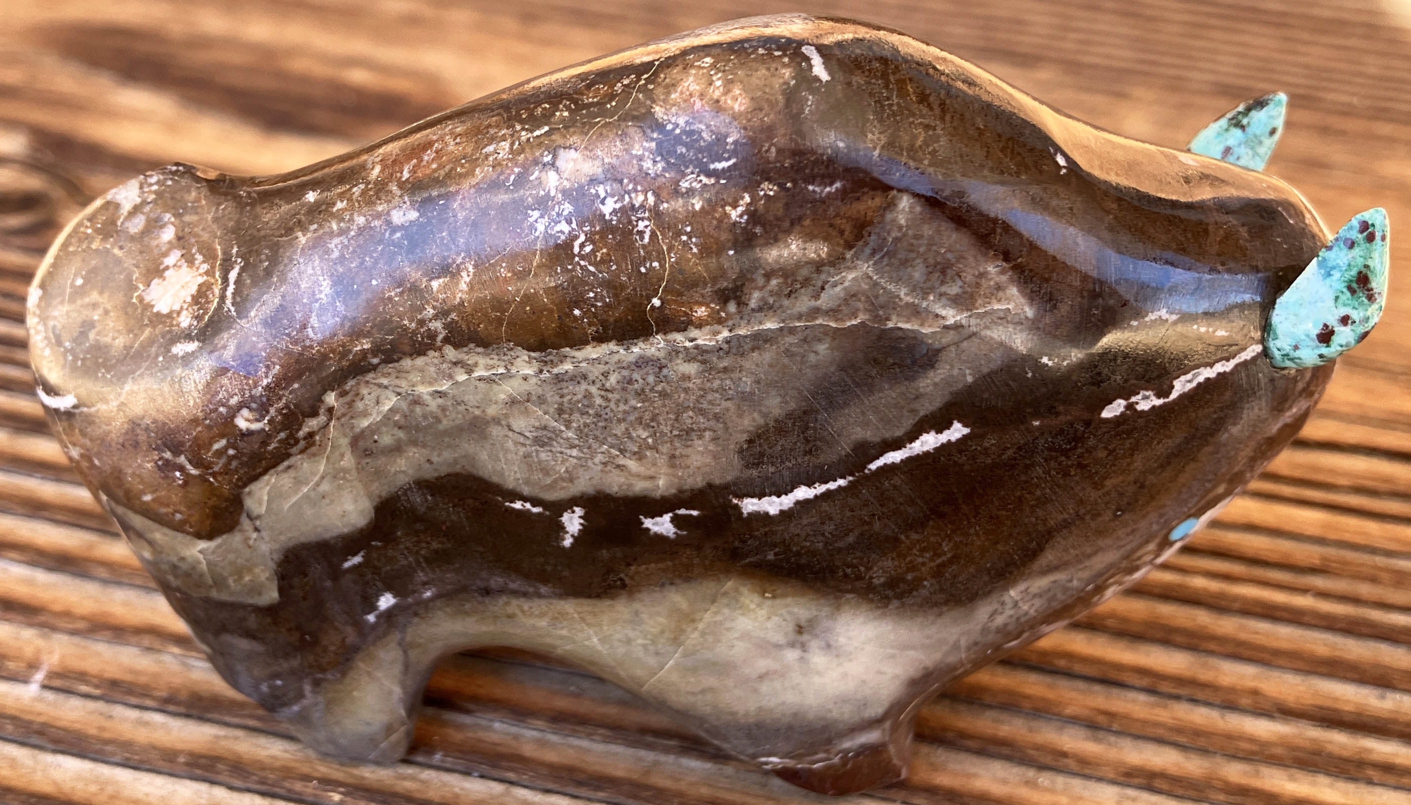 lynn Quam | Zuni Buffalo fetish | Penfield Gallery of Indian Arts | Albuquerque, New Mexico